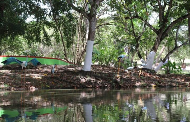 Naturaleza en Los Pocitos Azufrados